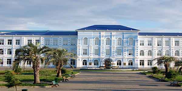 دانشگاه های پزشکی گرجستان